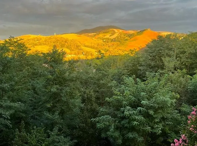 L'orangerie 3* Vue Imprenable * קמבו-לה-באן